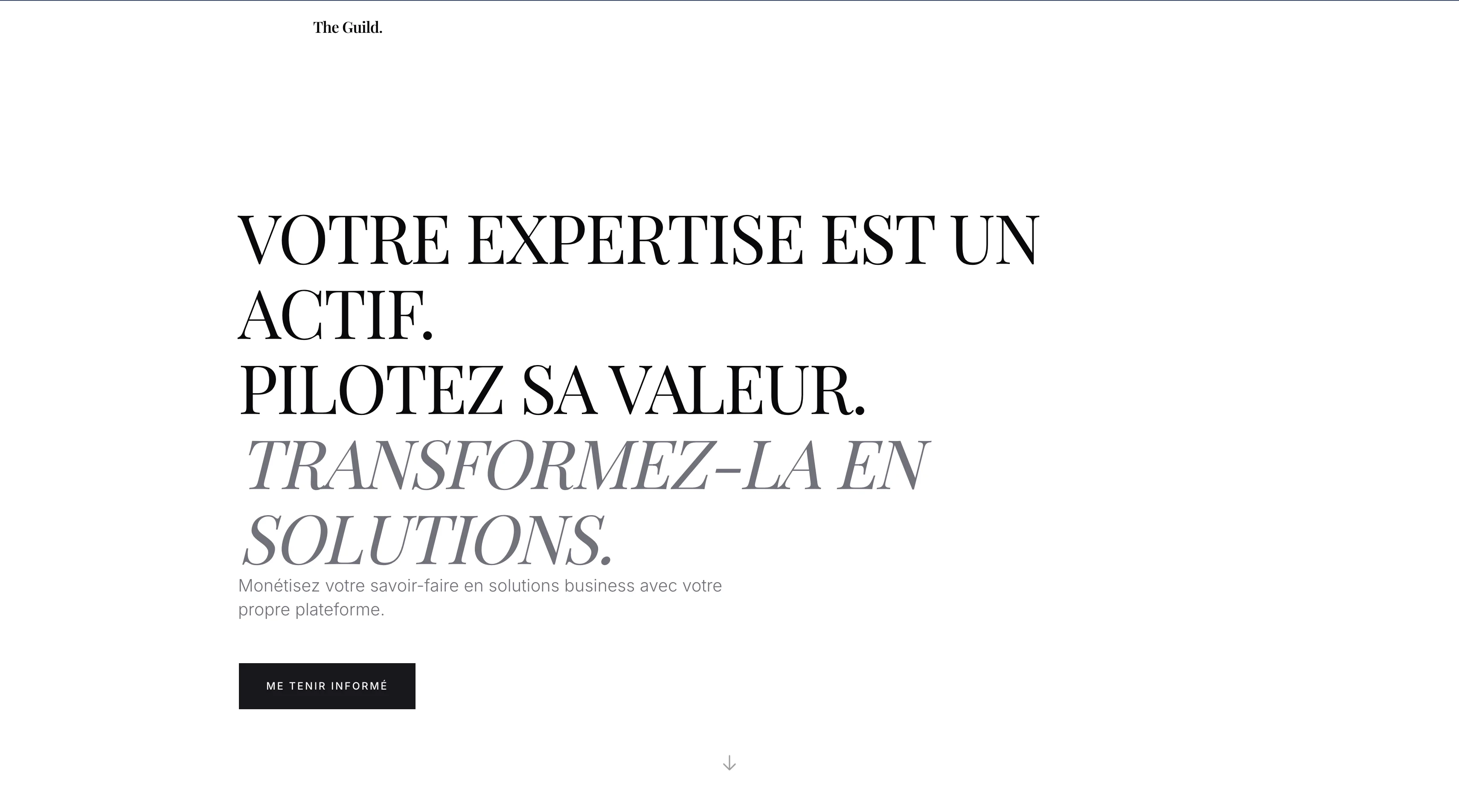 Capture d'écran de la plateforme The Guild